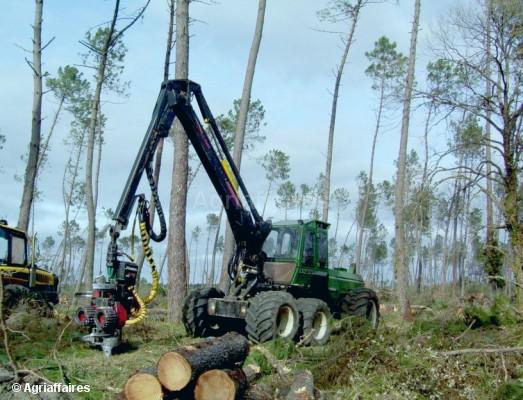 Harvester gebraucht und neu zu verkaufen - Agriaffaires
